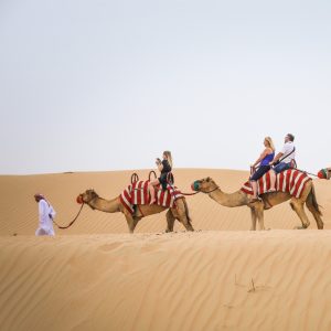 Dubai: Quad Bike Safari