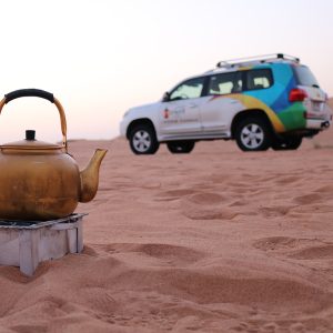 Sunrise and Wildlife Experience in the Desert Desert safaris